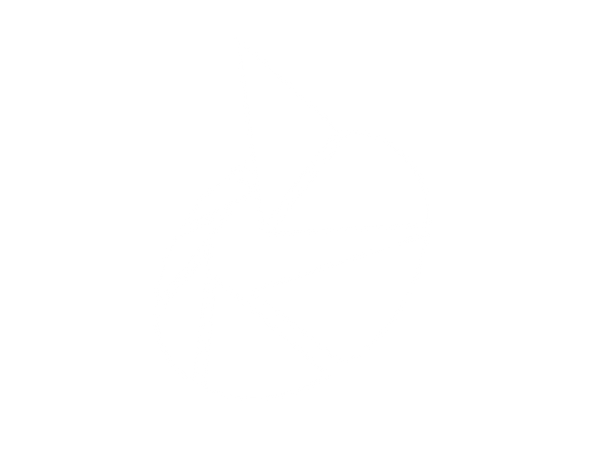 The Chronos Project